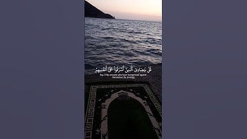 إن الله يغفر الذنوب جميعا|قران كريم 💚|ياسر الدوسري