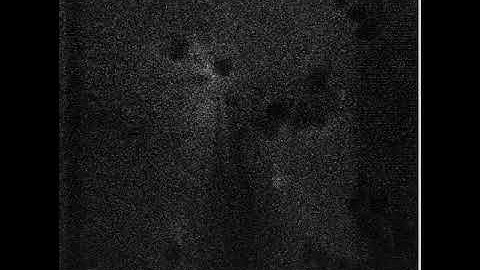 Two-photon targeted whole-cell patching (Neuron #X)