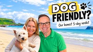 Dog Friendly Cornwall: How to Make the Most of Your Trip