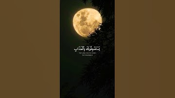 اكتب شيء تؤجر عليه 🤍😴 #تلاوة_خاشعة #القارئ #تلاوات #quran #shortvideo #راحة_نفسية #حالات_واتس