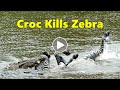 Croc Kills Zebra - (Warning! Disturbing scenes for sensitive viewers.)