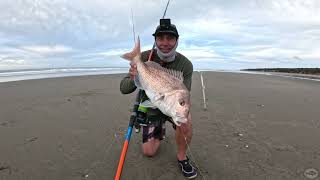 Muriwai magic Prt 2 - the fishing heats up as the snapper get bigger on my best fishy adventure