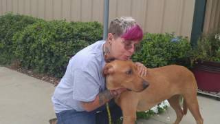 Oconee Humane Society, Seneca SC