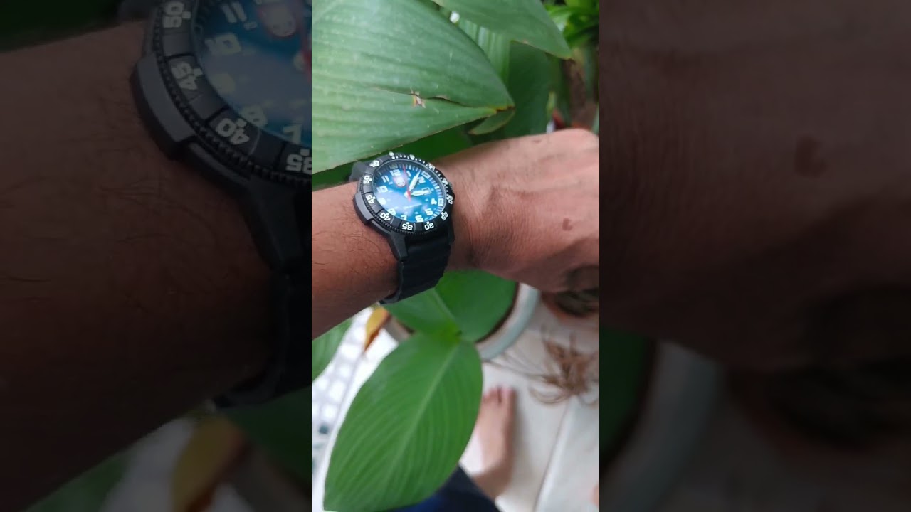 Men's Luminox Leatherback Sea Turtle 44mm Watch 0323