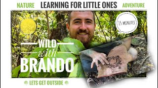 Wild with Brando - learning for little ones