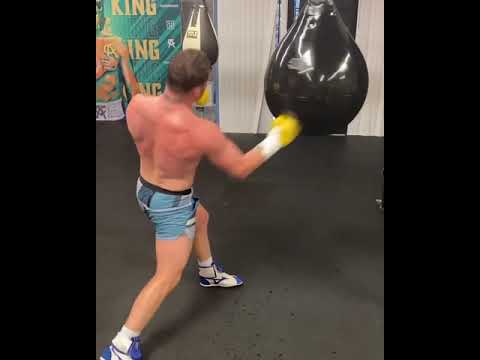 CANELO ALVAREZ LANDS