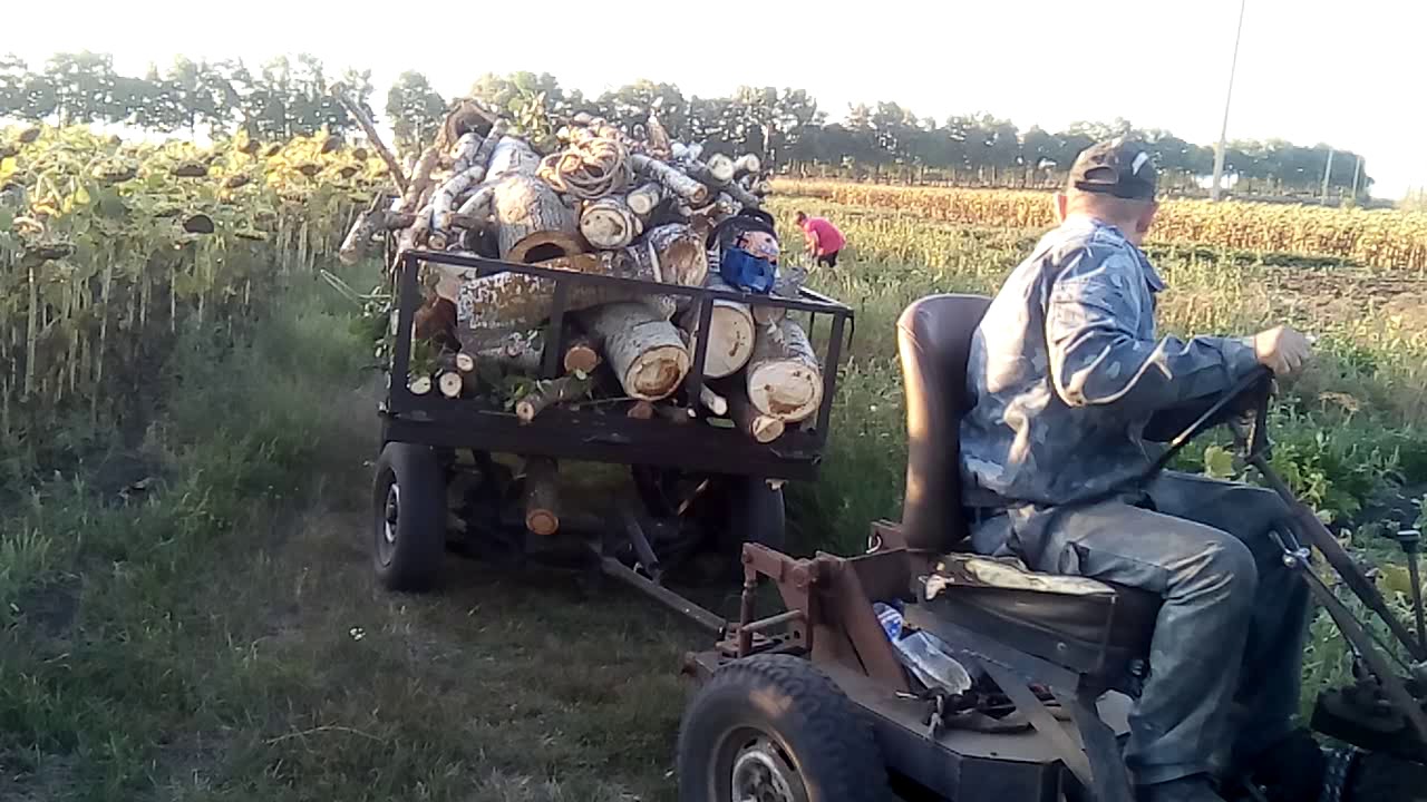 Газель везет дрова