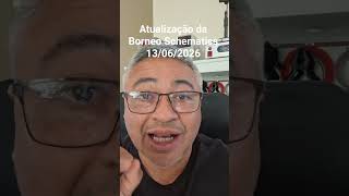 Atualização da Borneo Schematics 13/06/2026 #borneofc #assistenciacelular #programapago