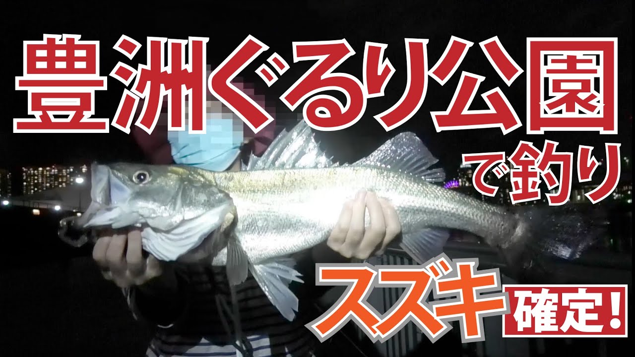 スズキ釣り隊 釣り】豊洲ぐるり公園 スズキ確定！ - YouTube