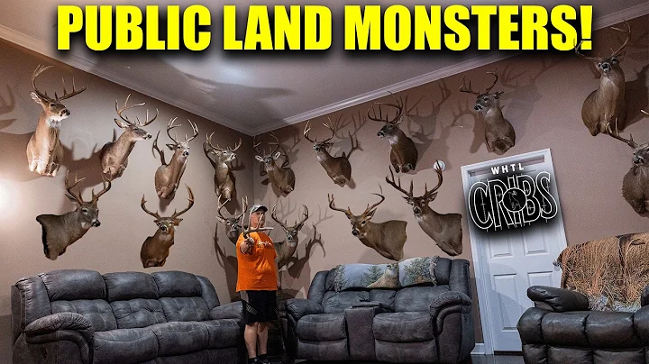 Man Cave Full Of Alabama Public Land MONSTERS!