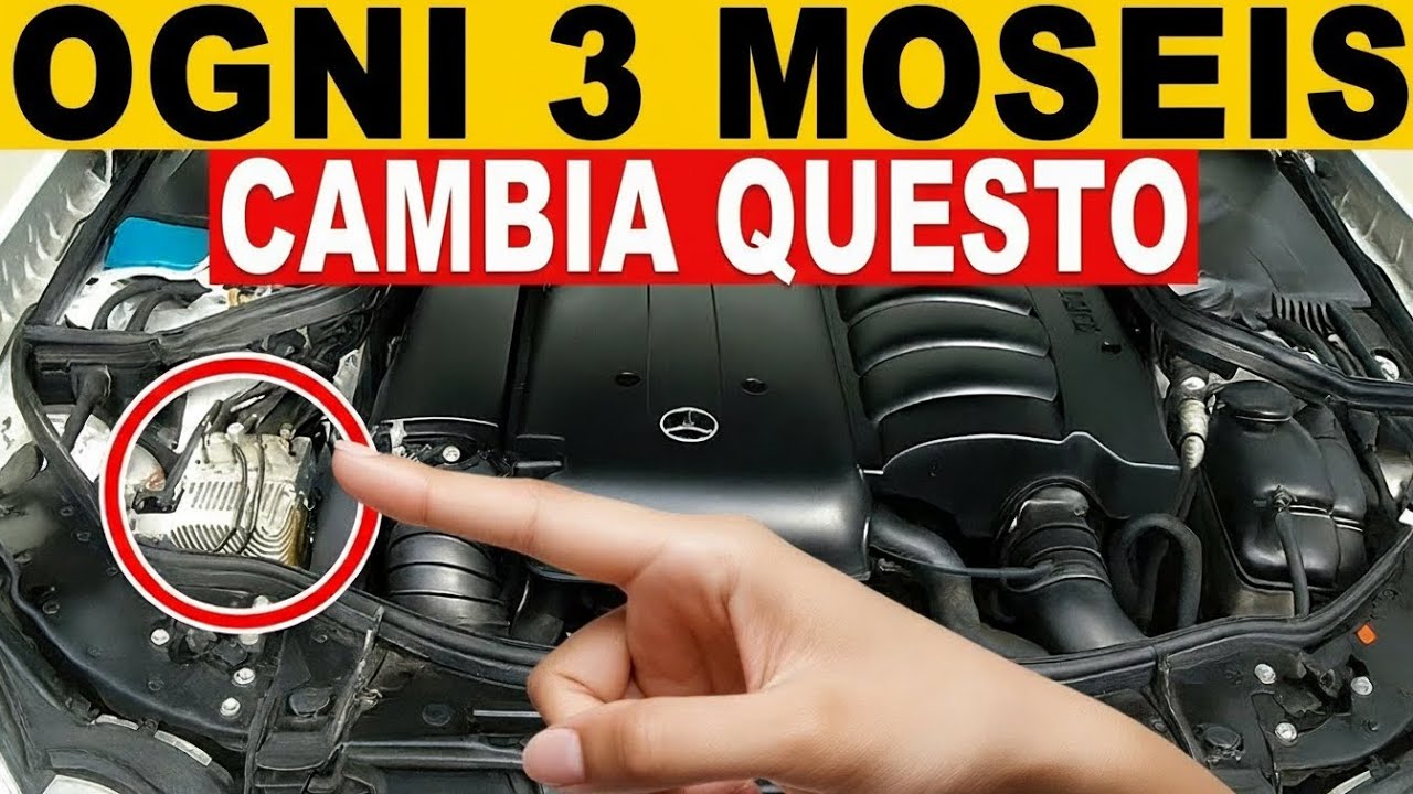 Abitudini comprovate per far durare la tua auto oltre 800 000 km senza riparazioni