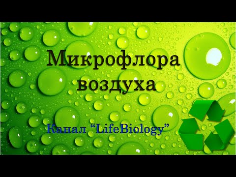 Микрофлора воздуха