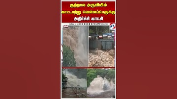 குற்றால அருவியில் காட்டாற்று வெள்ளப்பெருக்கு    அதிர்ச்சி காட்சி