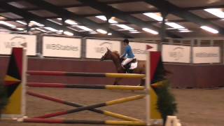 Wimphof's Cheeky by Lupicor x Grannus @ 1.35m Warga, 3rd place