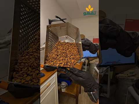 قهوة سعودية مختصة و افضل قهوة عربية تحميص محمصة تقهو اكسبلور   قهوة السعودية