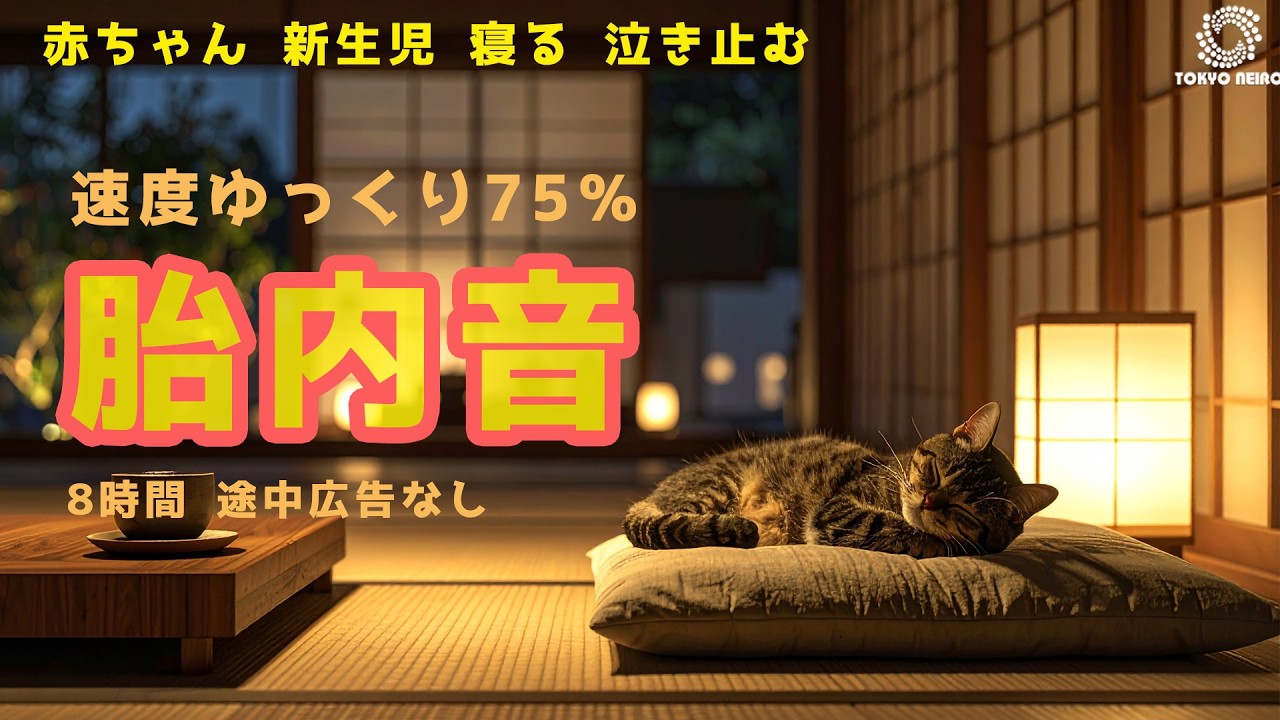 【胎内音75%（ゆっくり）】夜泣き対策｜赤ちゃんの寝かしつけに・8時間（睡眠用BGM／安眠／広告なし）