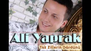 Ali Yaprak - Tak Zillerin Dördünü Resimi