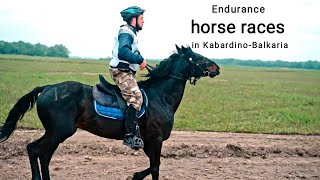 #Endurance #horse #races in #Kabardino-#Balkaria