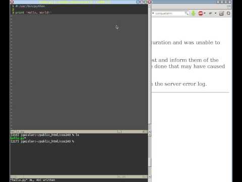 Simple CGI program