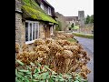 Okeford, Dorset, England