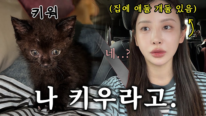 🐈‍⬛집사가 되었다 | 간택이라는 것인가 | ✨기초부터 헤어루틴 | 👧🏻👶🏻남매 일상도 준비했지요🖤 | 오랜만에 네일💅