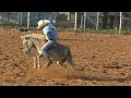 Donkey Riding - (Last Ride = Wow!!) 2019 Saint's Roost Jr. Ranch Rodeo
