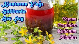 Kantaron Yagi Nasil Hazirlanir Faydalari Nelerdir Youtube