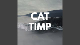 Cat Timp