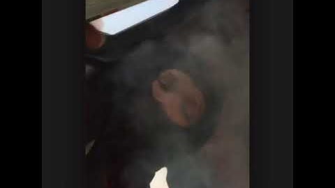 BLOVEE NEW SNIPPET🔥🔥🔥