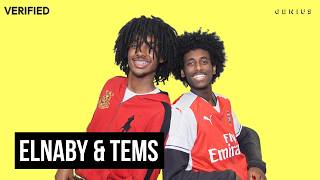 Elnaby "SHOULDER TO SHOULDER" Official Lyrics & Meaning | Verified
