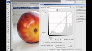 Цветовое пространство LAB в Photoshop Цветовое пространство LAB в Photoshop