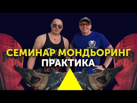 Мондьоринг семинар | Всё о мондьоринге  | Практика  | Немецкая овчарка кусается