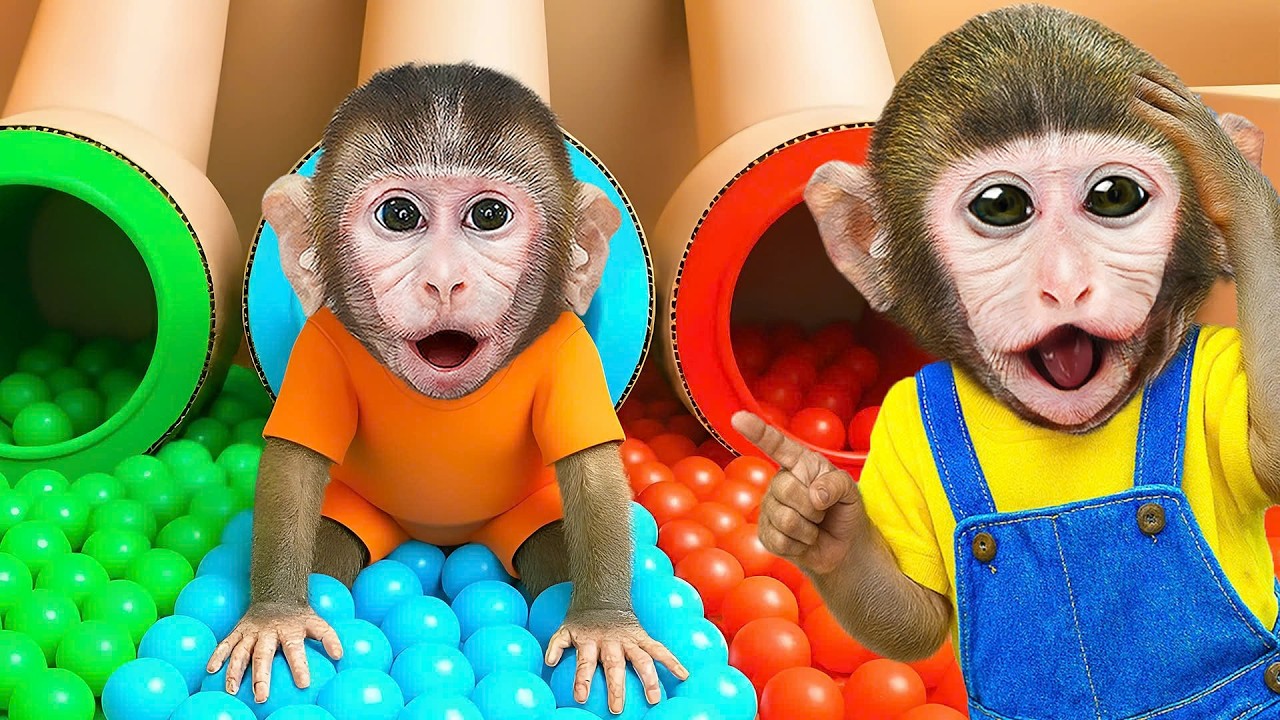 LIVE Macaco Mo Mo 🐵🎈 Jogos, Histórias e Muitas Risadas!