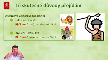 Proč vazače fosfátů zlepšují funkci srdce?