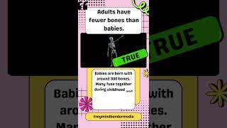 True or False: Babies Have MORE Bones Than Adults?! 😱 #quiz #bones  #trivia