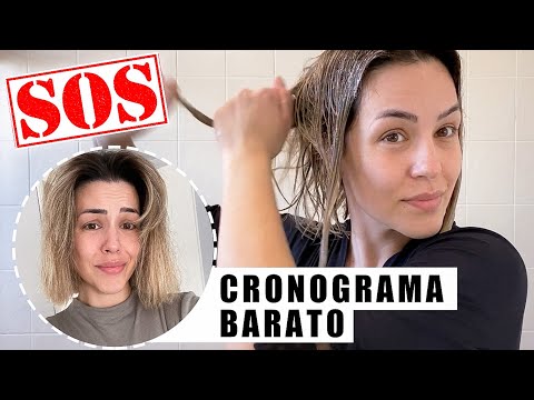 CRONOGRAMA CAPILAR BARATINHO - PRECISAVA SALVAR