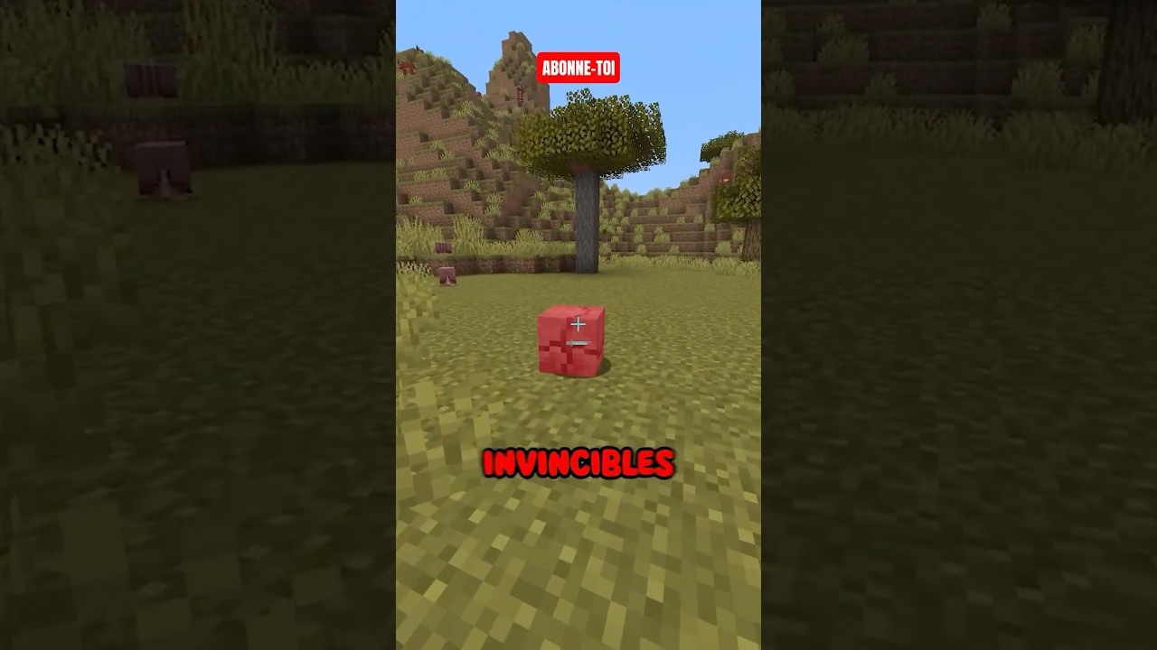 La MEILLEURE FARM XP de MINECRAFT !!