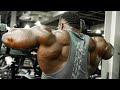 Grow your shoulders workout w david