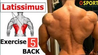 أقوى 5 تمارين الظهر تمارين منزلية لتقوية العضلات ولتعريض بدون معداتThe best back exercises at home