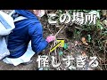 【トレジャーハンター】やっと見つけた！昭和初期の骨董品が拾える河川で価値の高いお宝をザクザク集める宝探し。