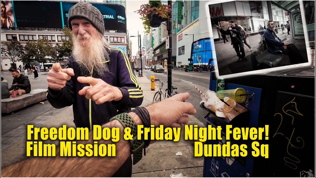 A Friday Night at Dundas Square - Freedom Dog & Friday Night Fever ...