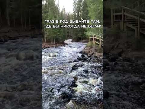 Путешествуйте с нами https://t.me/thisisthewayru #eternalway #вайлдберриз #всепутем #путешествие