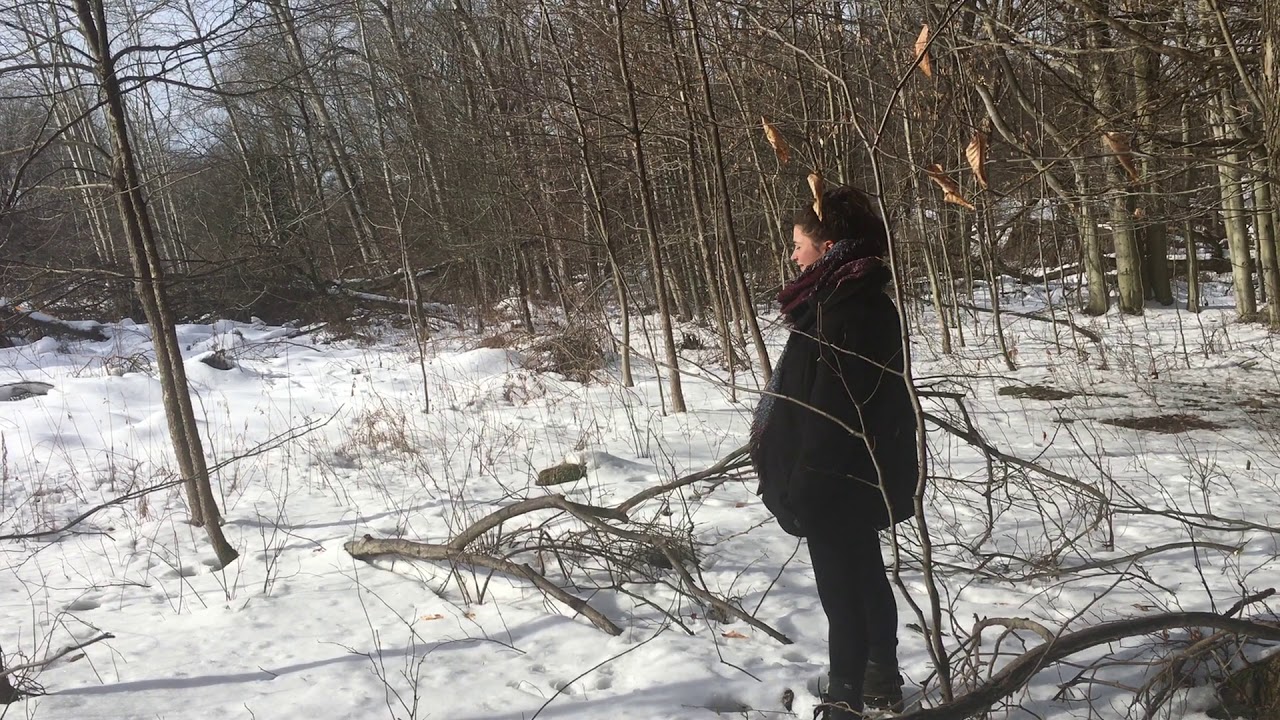 Scream in the woods YouTube