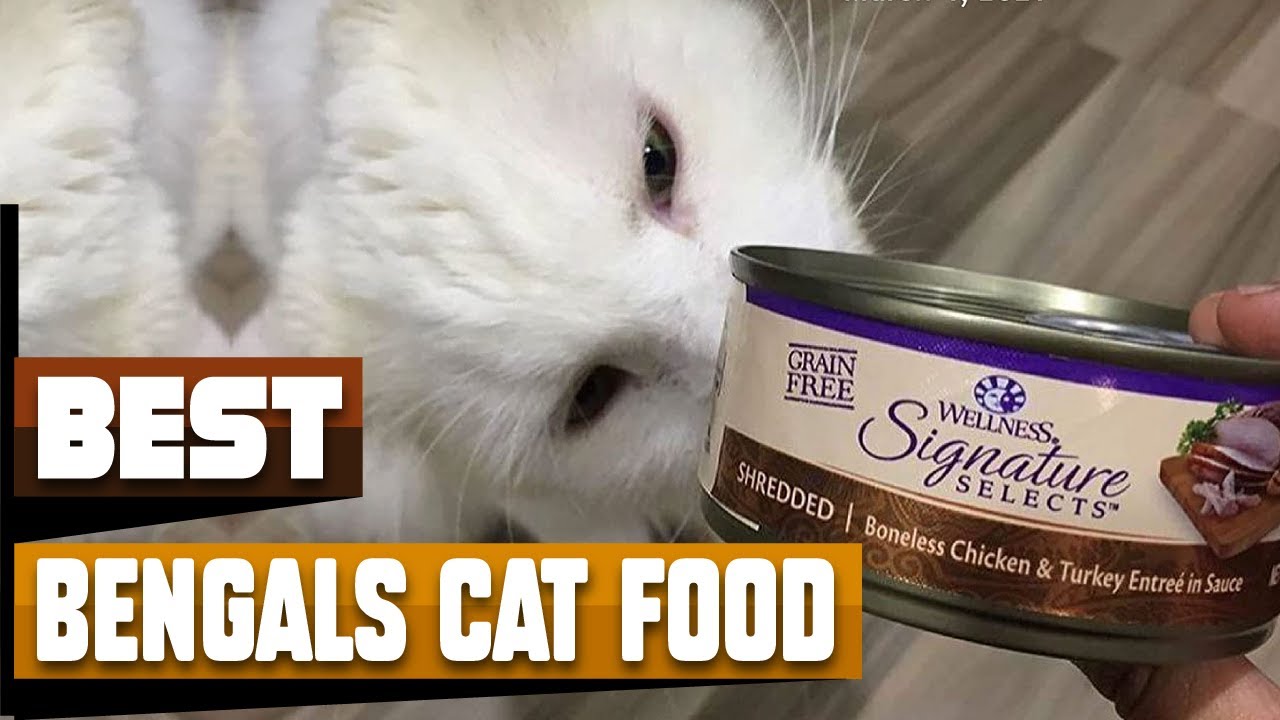 Best Cat Food For Bengal In 2024 Top 10 Cat Food For Bengals Review