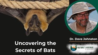 #65:  Winged Wonders: Uncovering the Secrets of Bats with Wildlife Ecologist Dr. Dave Johnston