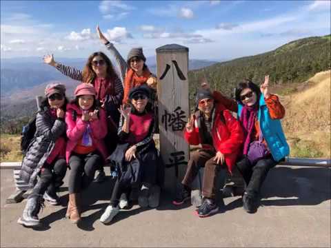 岩盤浴 中野 岩盤浴 中野