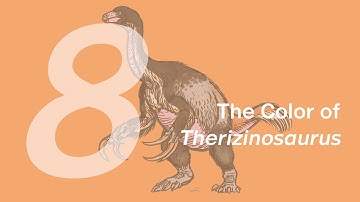 Qingge the Therizinosaurus 8: The Color | Learn to Draw Dinosaurs with ZHAO Chuang