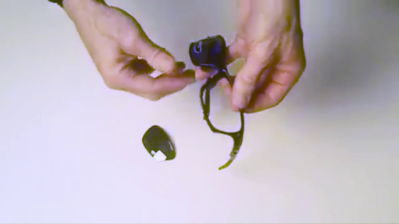 How to change lenses on Tifosi Ventoux sunglasses YouTube