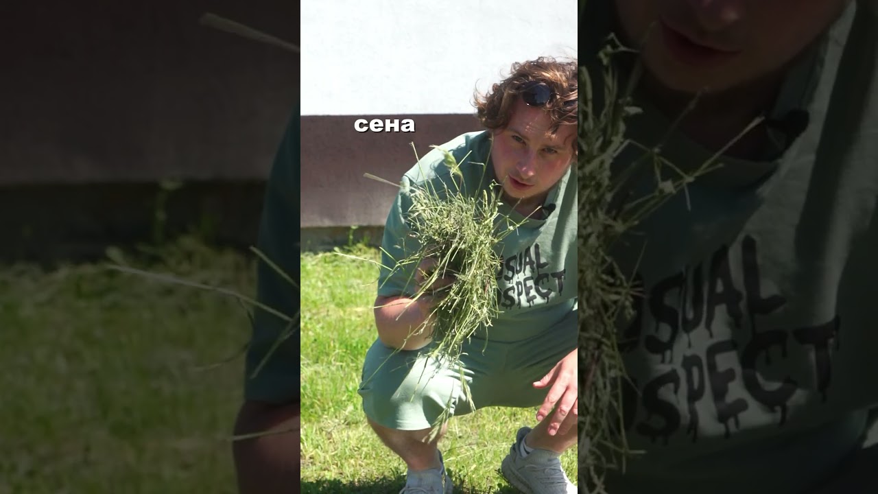 Никогда не выкидывайте траву! 