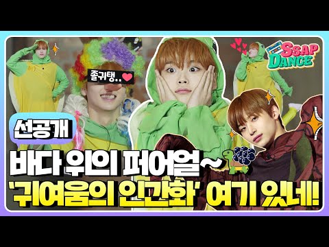 (sub) [선공개] ※덕통사고 주의※ 바다거북이가 이렇게 귀여워도 될 일? 세상 사람들 우리 형준이 귀여운 것 좀 보세요🙏 | SSAP-DANCE CRAVITY